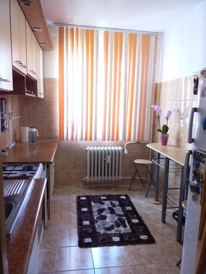 Апартаменти Apartament Anca Констанца Екстер'єр фото